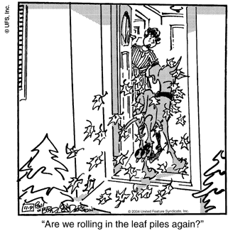 marmaduke